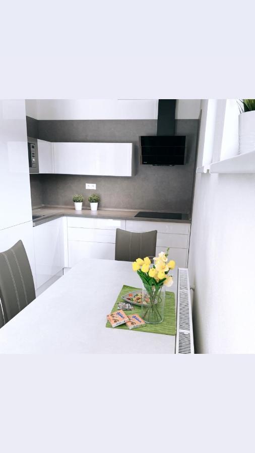 Apartmán Monika Lipno nad Vltavou Esterno foto